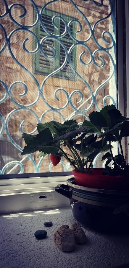 חוואר Liza'S Downtown Apartment מראה חיצוני תמונה